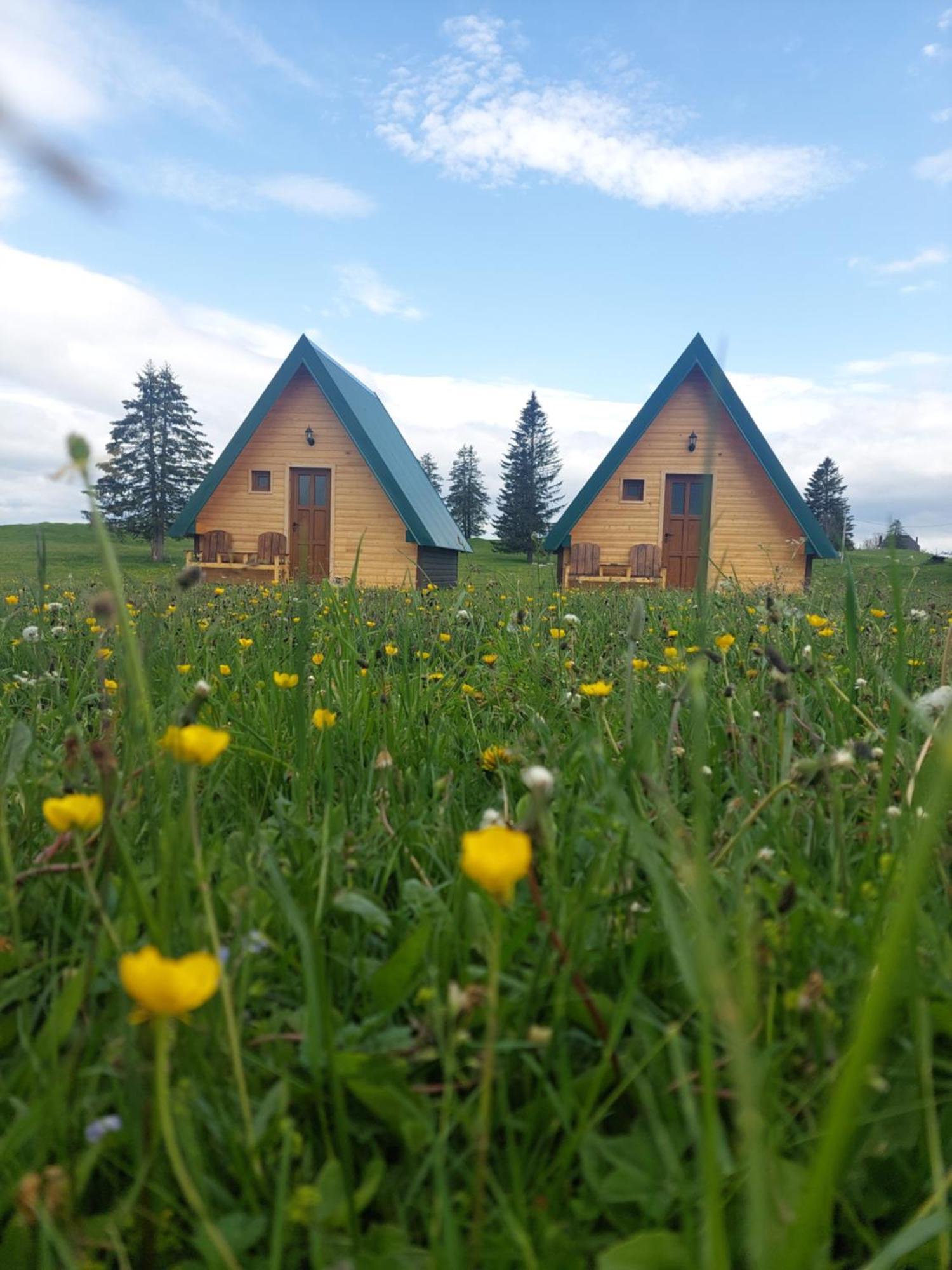 Sumski Raj Žabljak Chambre photo