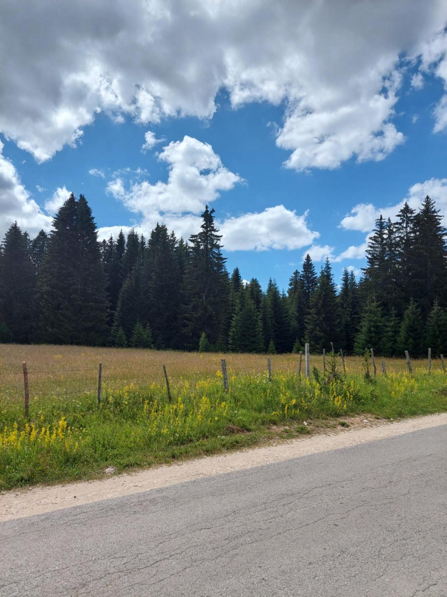 Sumski Raj Žabljak Chambre photo